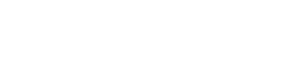 Annie Sino-German Consulting